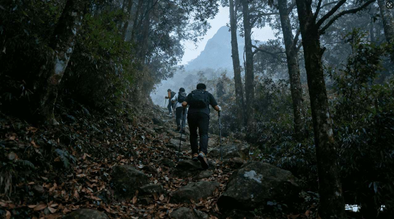 探索坚果加速器的美服游戏加速秘密